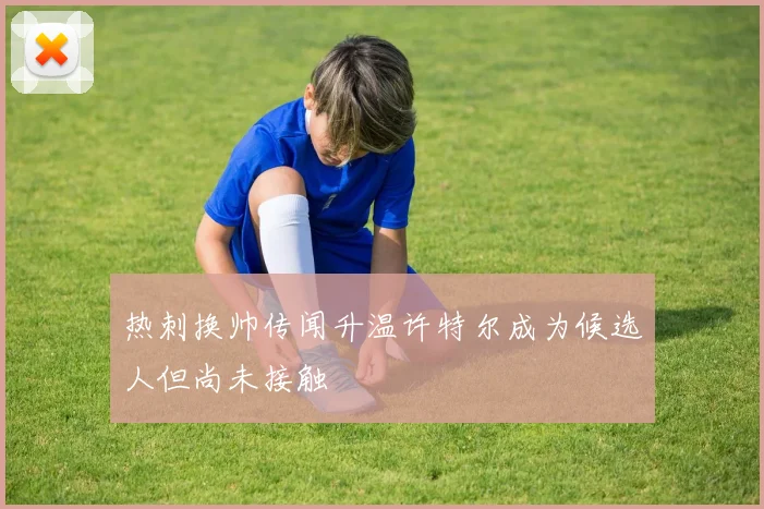 热刺换帅传闻升温许特尔成为候选人但尚未接触
